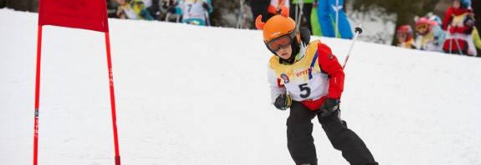 Nybegynnerkurs Alpint (slalåm)